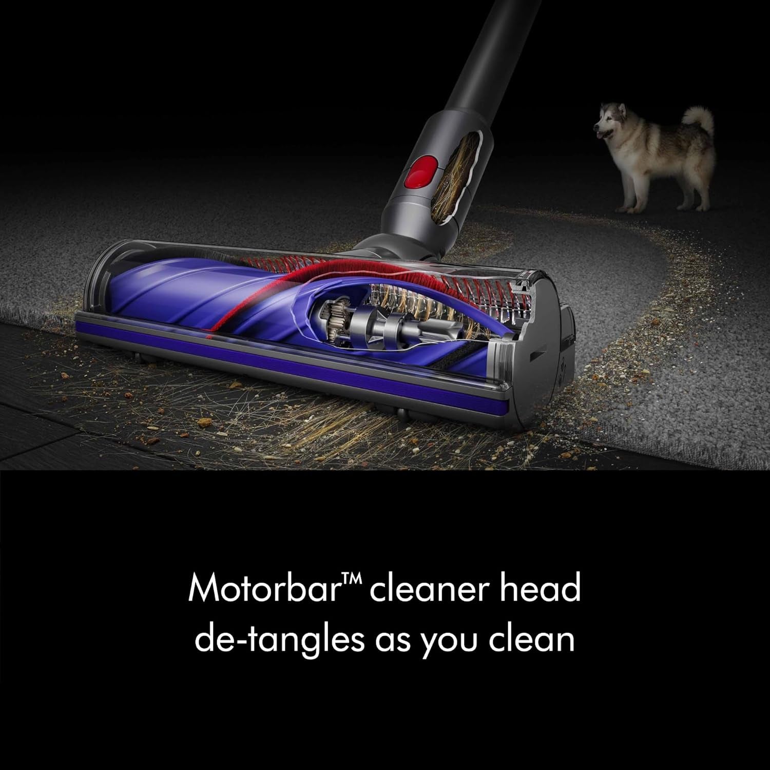 V8 plus Cordless Vacuum, Silver/Nickel