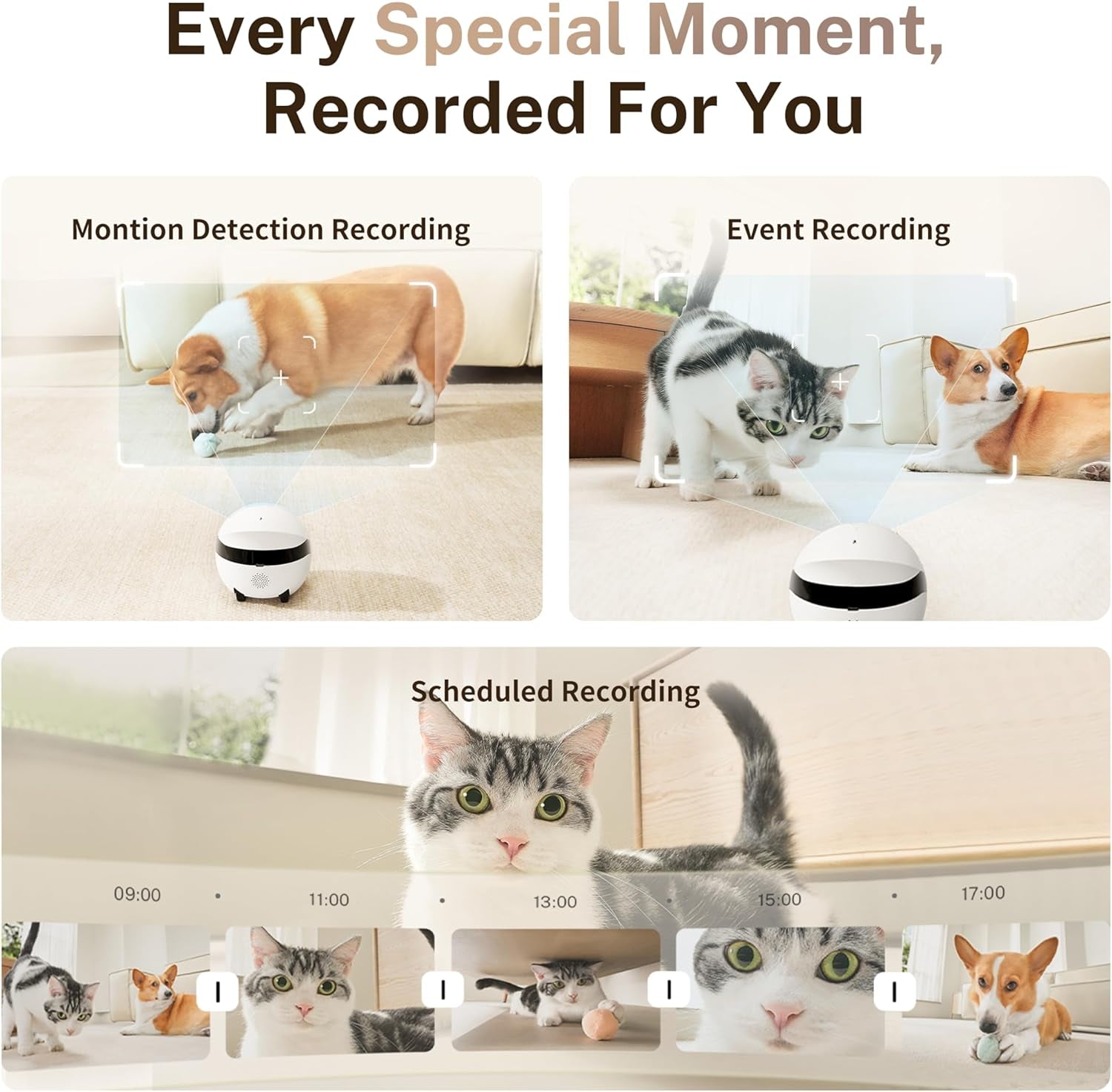 2K Camera Robot ROLA Mini: Movable Pet Camera Battery-Powered with Phone App, Indoor Cam W/One-Touch Call, 2-Way Talk, Night Vision, Motion Detection, Video Recording