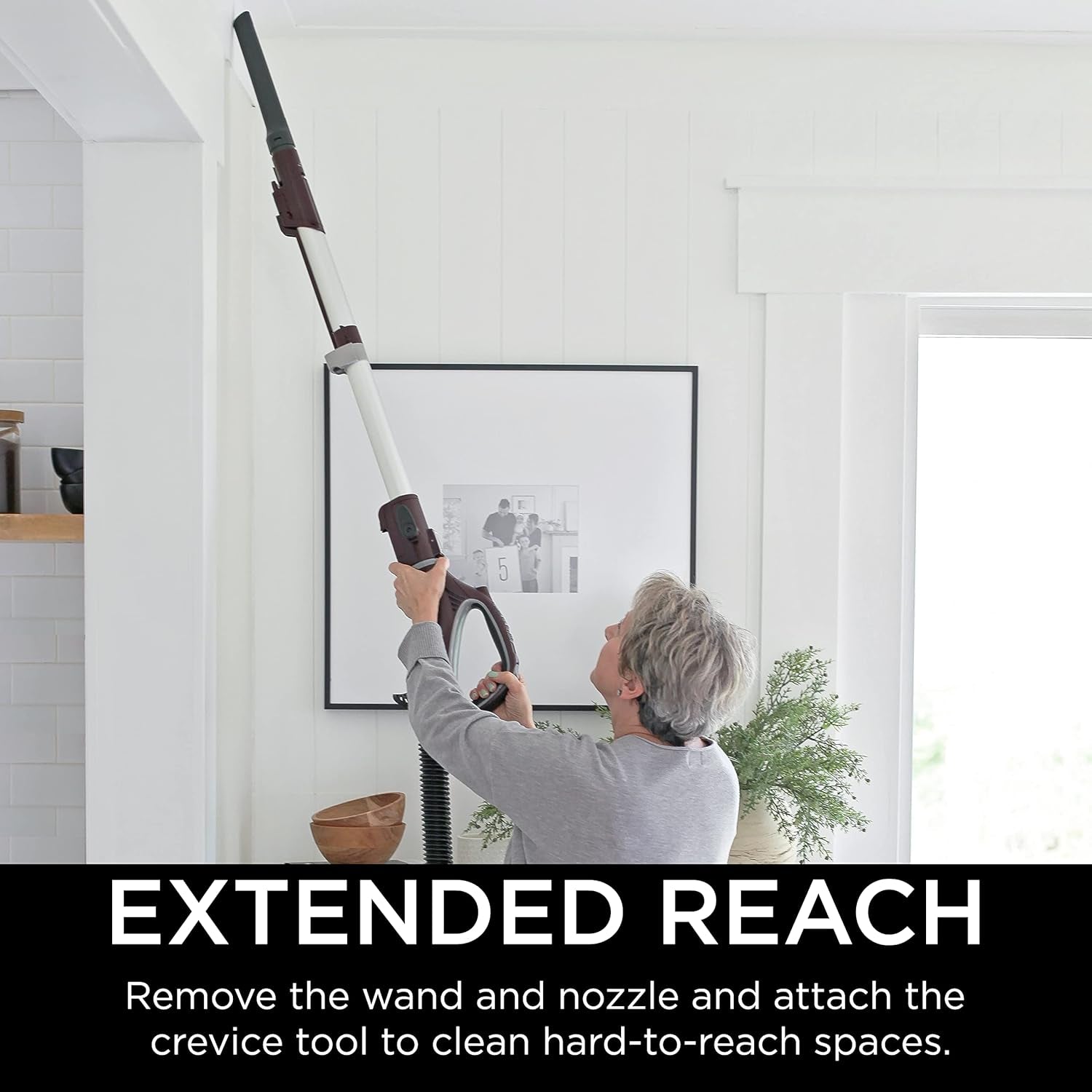 NV752 Rotator Powered Lift-Away Truepet Upright Vacuum with HEPA Filter, Large Dust Cup Capacity, LED Headlights, Upholstery Tool, Perfect Pet Power Brush & Crevice Tool, Bordeaux