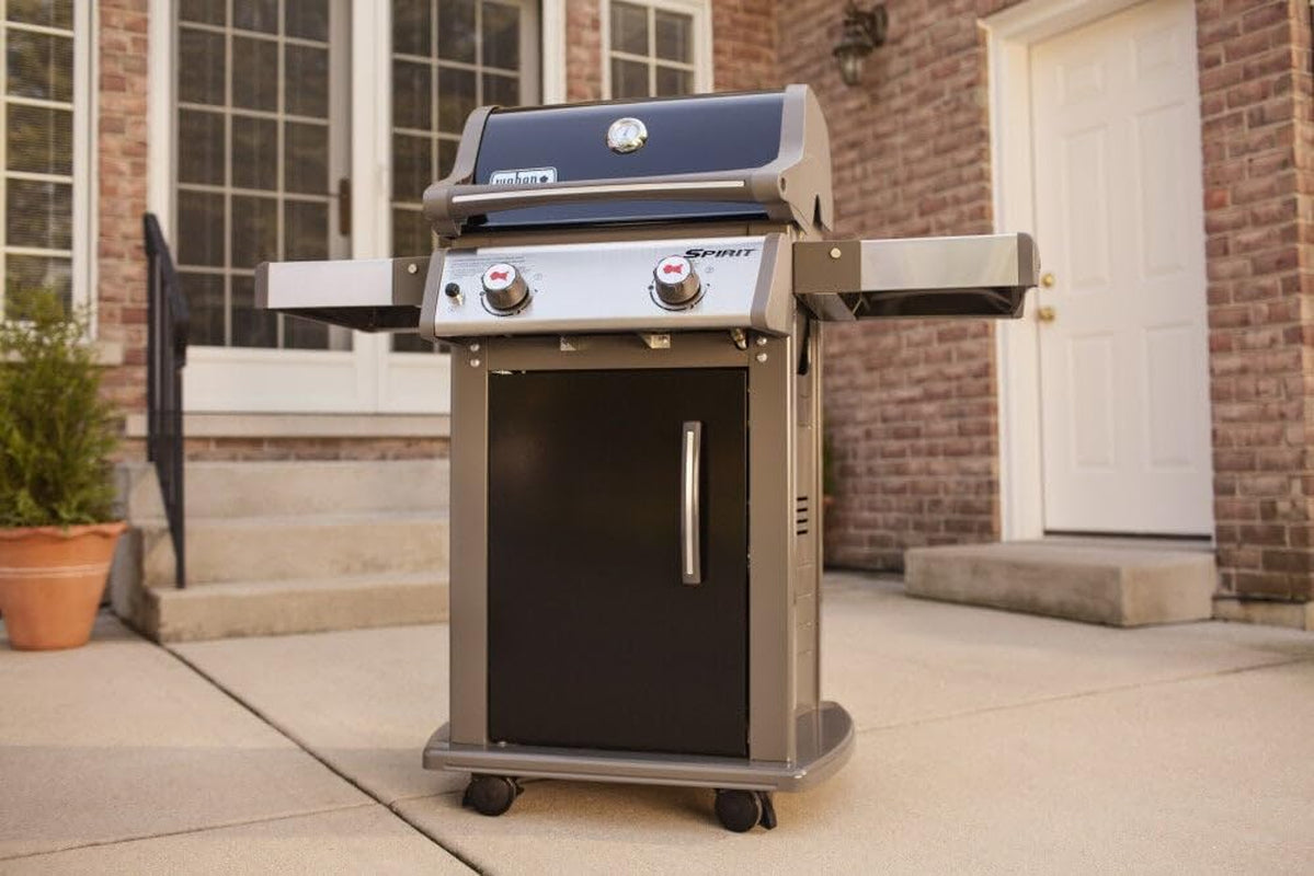 Spirit E-210 Gas Grill | Liquid Propane, 2-Burner | Black