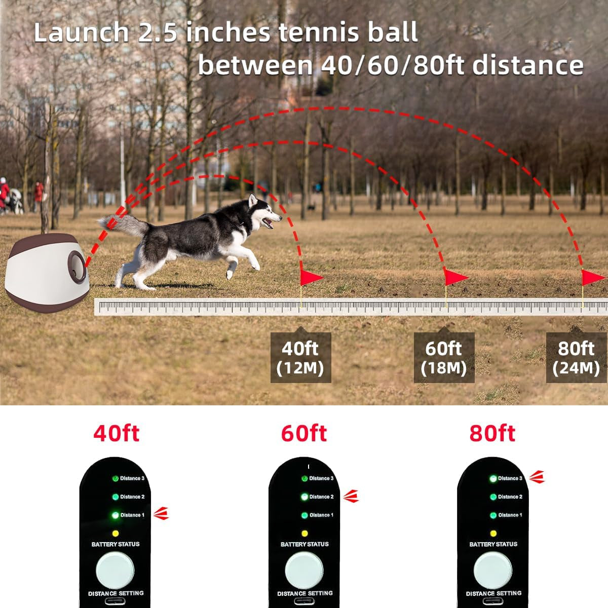 Autodog Ball Launcher - Large Silent Dog Ball Thrower with Remote Control, 3 Adjustable Distances (40T/60Ft/80Ft), Rechargable,Includes 6 Durable 2.5" Balls for Medium/Large Dogs