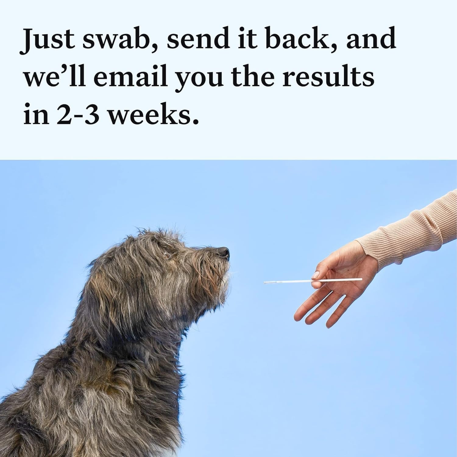 Panel Essential Dog DNA Kit: Most Accurate Test for 365+ Breeds, 30 Genetic Health Conditions, 50+ Traits, Relatives, Ancestry - 1 Pack