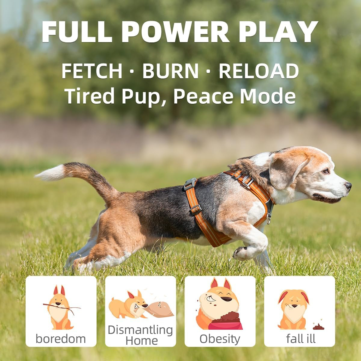 Autodog Ball Launcher - Large Silent Dog Ball Thrower with Remote Control, 3 Adjustable Distances (40T/60Ft/80Ft), Rechargable,Includes 6 Durable 2.5" Balls for Medium/Large Dogs