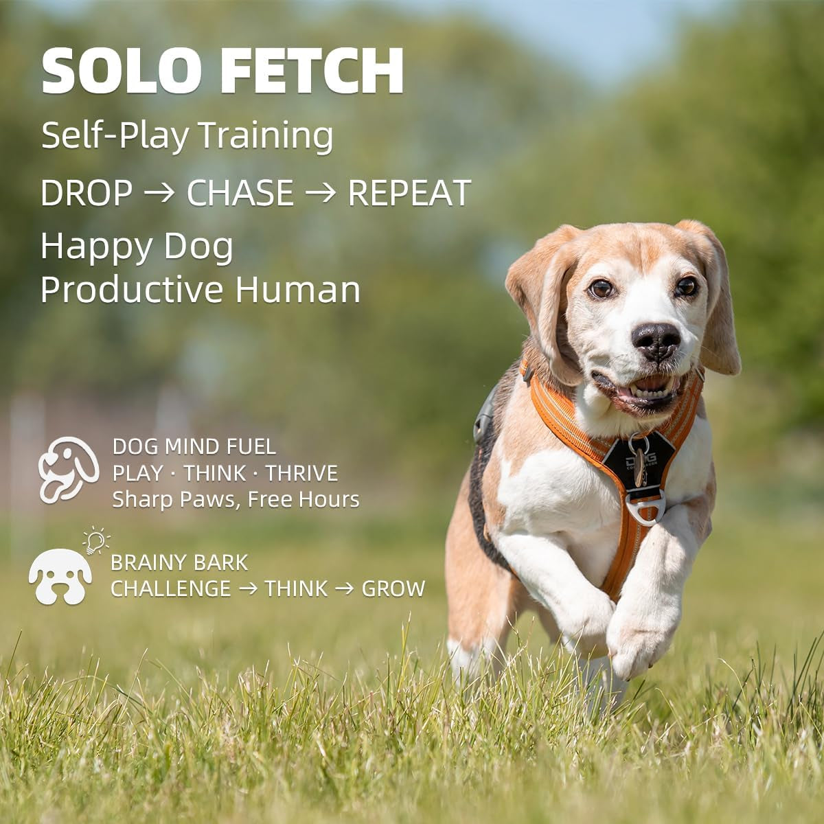 Autodog Ball Launcher - Large Silent Dog Ball Thrower with Remote Control, 3 Adjustable Distances (40T/60Ft/80Ft), Rechargable,Includes 6 Durable 2.5" Balls for Medium/Large Dogs