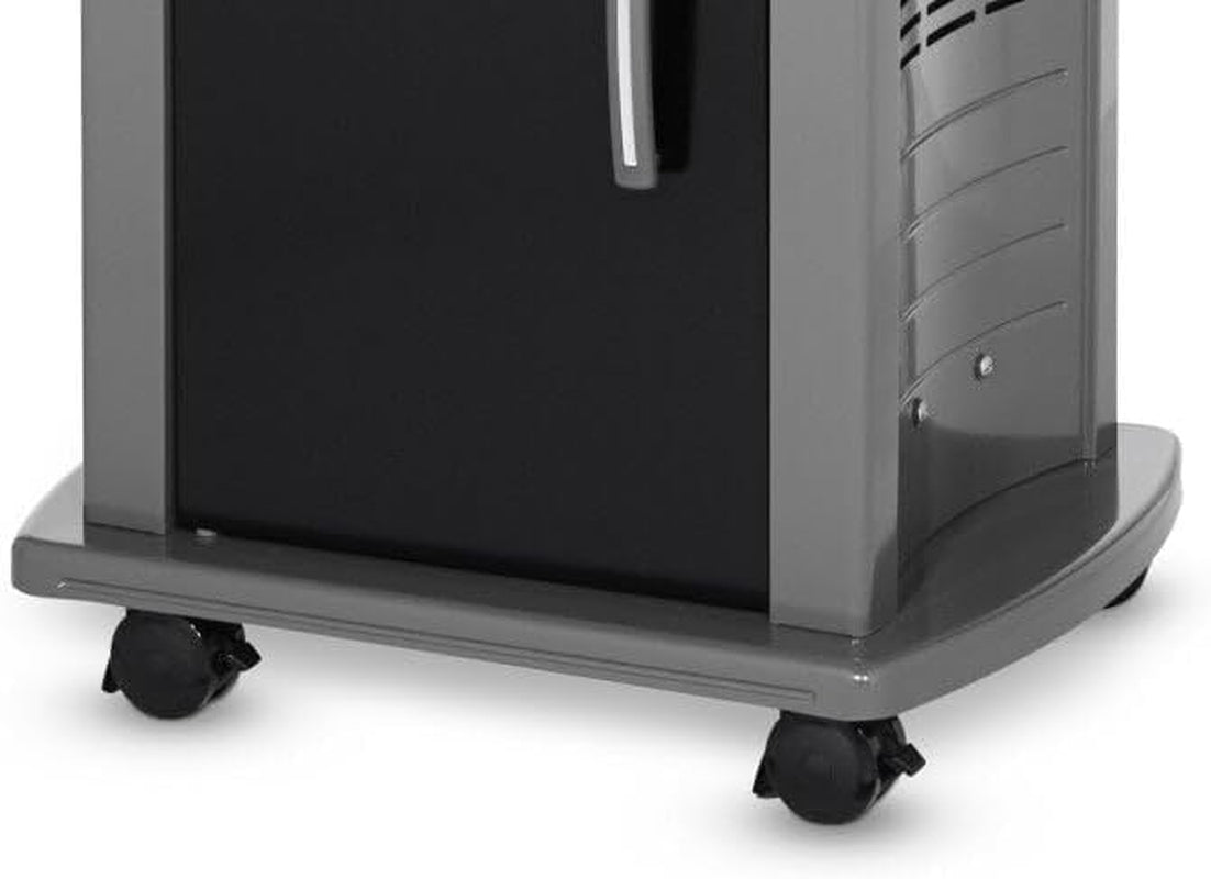 Spirit E-210 Gas Grill | Liquid Propane, 2-Burner | Black