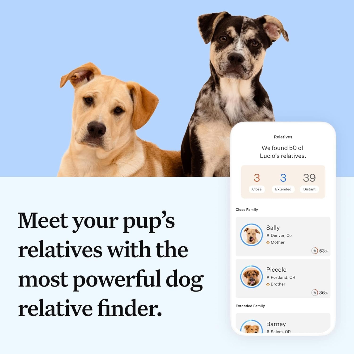 Panel Essential Dog DNA Kit: Most Accurate Test for 365+ Breeds, 30 Genetic Health Conditions, 50+ Traits, Relatives, Ancestry - 1 Pack