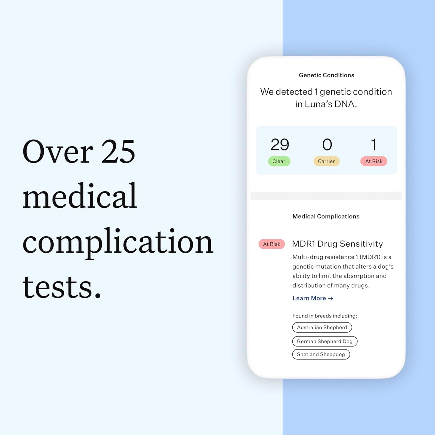 Panel Essential Dog DNA Kit: Most Accurate Test for 365+ Breeds, 30 Genetic Health Conditions, 50+ Traits, Relatives, Ancestry - 1 Pack