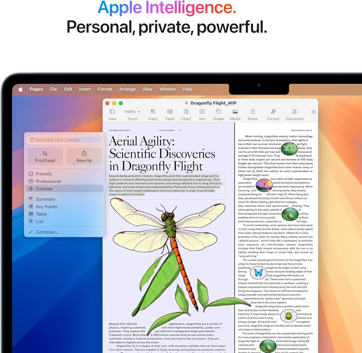 2025 Macbook Air 13-Inch Laptop with M4 Chip: Built for  Intelligence, 13.6-Inch Liquid Retina Display, 16GB Unified Memory, 256GB SSD Storage, 12MP Center Stage Camera, Touch ID; Sky Blue