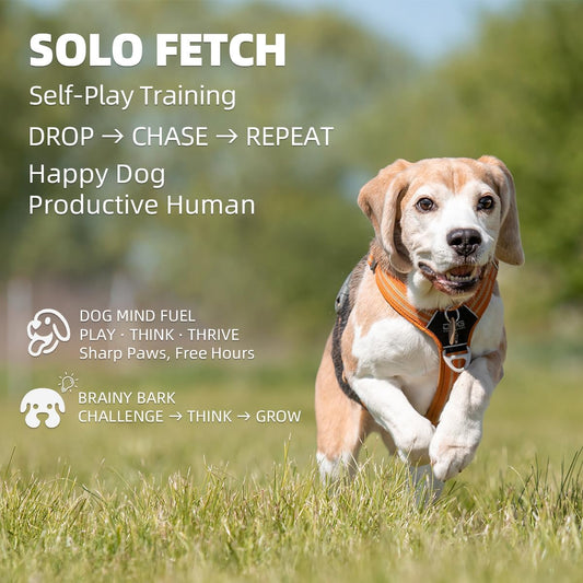 Autodog Ball Launcher - Large Silent Dog Ball Thrower with Remote Control, 3 Adjustable Distances (40T/60Ft/80Ft), Rechargable,Includes 6 Durable 2.5" Balls for Medium/Large Dogs