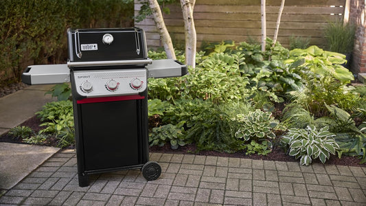 Weber® Spirit® E-325 Gas Grill, Outdoor Cooking, Small Propane Grill, Black