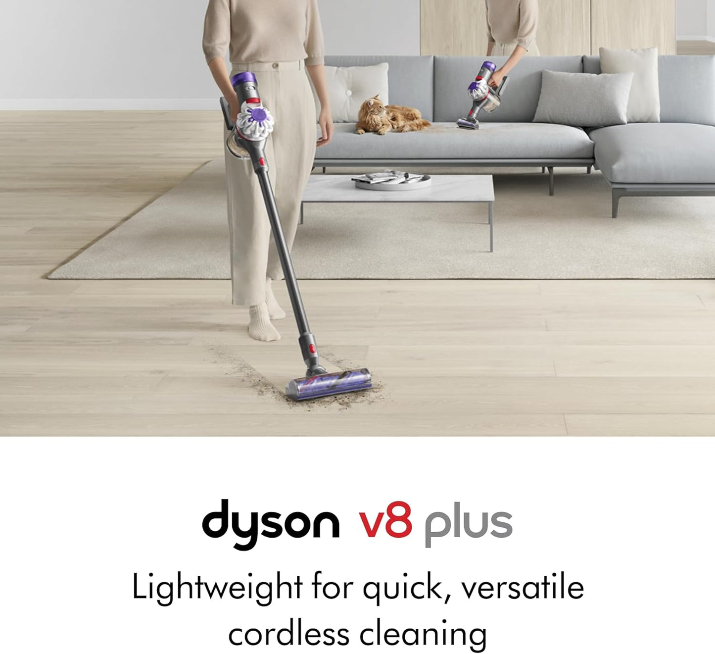V8 plus Cordless Vacuum, Silver/Nickel