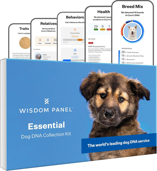 Panel Essential Dog DNA Kit: Most Accurate Test for 365+ Breeds, 30 Genetic Health Conditions, 50+ Traits, Relatives, Ancestry - 1 Pack